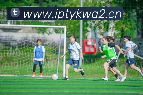 App Interface Preview