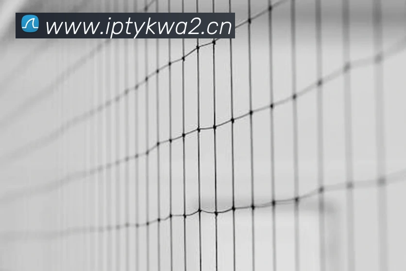 星空网官方登录APP 封面图